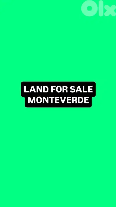 Land for sale Monteverde أرض للبيع المنتفردي