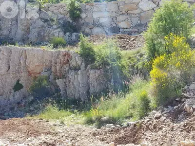 Land for Sale in Raashine