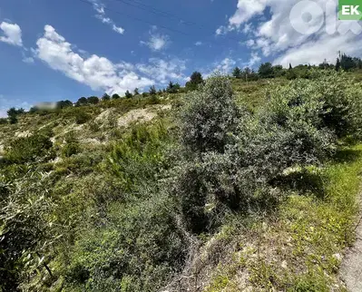 slight slop, open sea view, prime area,Halat, Jbeil/حالات REF#EK136332