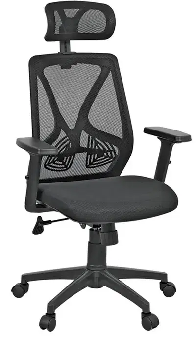 office chair Ergo