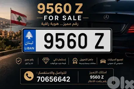 Car Plate Number for sale 9560 Z