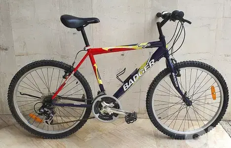 Badger bike 24" 21 speed shimano tourney