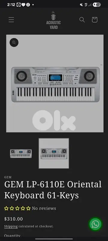 Oriental Keyboard 61-Keys professional