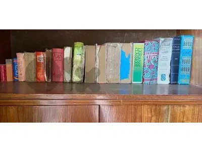 books , different dictionnaries