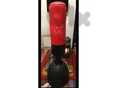 punching bag barely used 80$