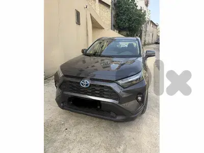 Toyota Rav4 Hybrid 2024