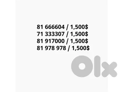 Special Numbers