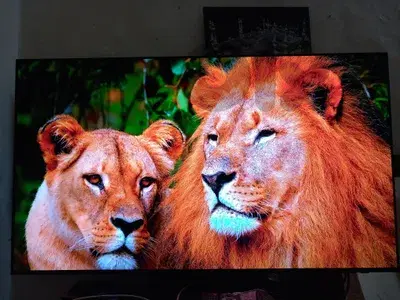 SAMSUNG S90C OLED