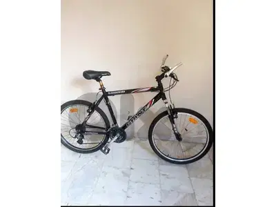 🚴 Giant USA Bicycle – Size 26 🚴 Giant USA Bicycle – Size 26