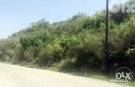 Land | Blat | Main Road | أرض للبيع | بلاط |PLS22656