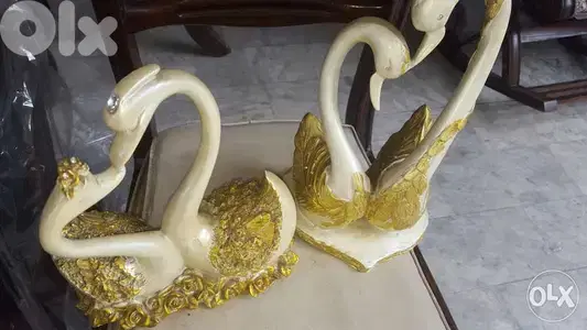 وزة رزين موديلان