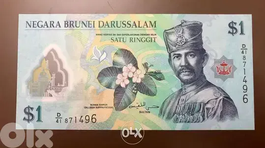 Polymer bank note