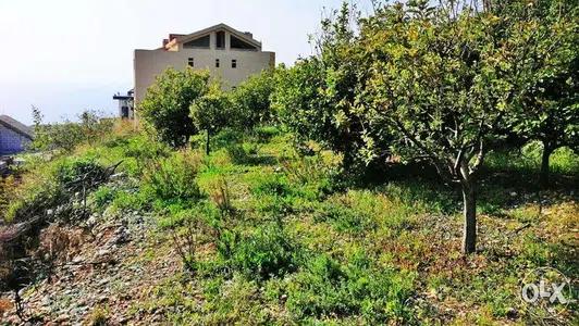 Land for Sale in Blat– أرض للبيع في بلاط. |PLS24598