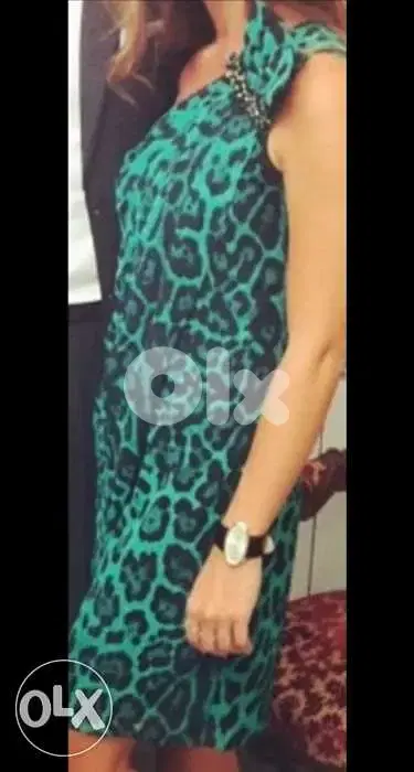 Dress, short, green and black.