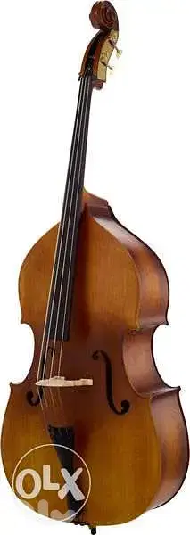 double bass - Contre Bass