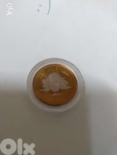 Lucky Coin 250 Lira Memorial BDL year 2012