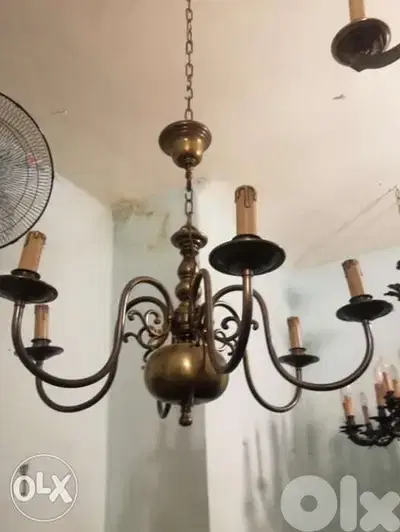 انعم ثرية هولندي شغل اوروبي الاصلي القديم مميز ناعم سعر مغري