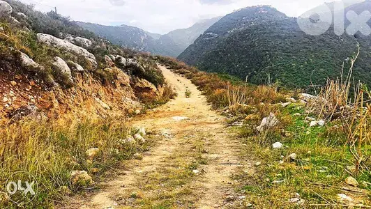 Land In Edde For Sale |   | أرض للبيع  | اده | PLS 24238