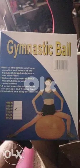 swiss ball 85