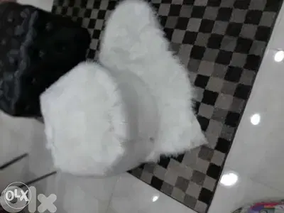 Poooof white