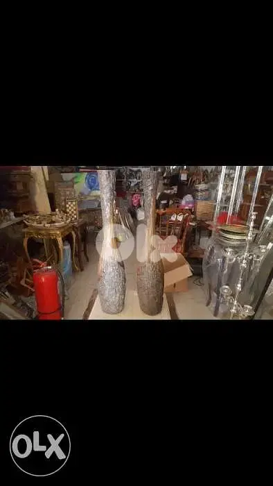 فاز روعة قديم جوز
