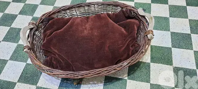 Pet bed. Basket with couch.