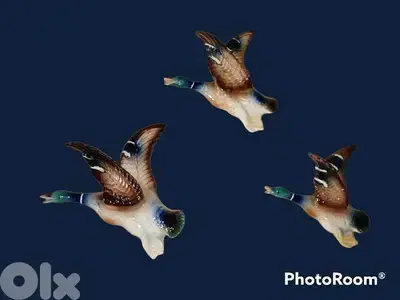 3 Vintage 1950 wall graduated ceramic flying ducks for sale