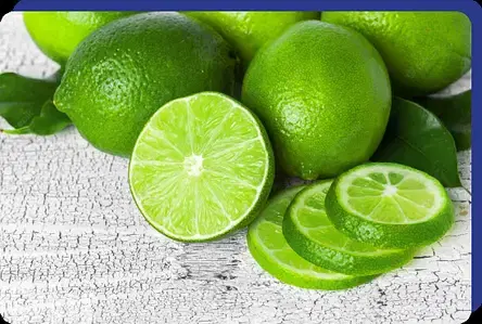 Spanish monthly key lime trees شجر لايم شهري إسباني