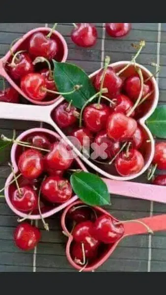 measuring heart shape spoons set 2$
