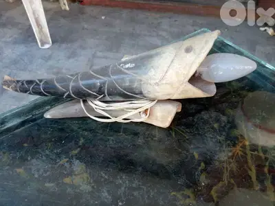 لمبدير موديل مميز عضم بسعر مغري