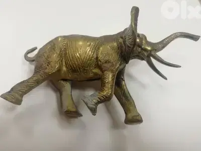 antique فيل