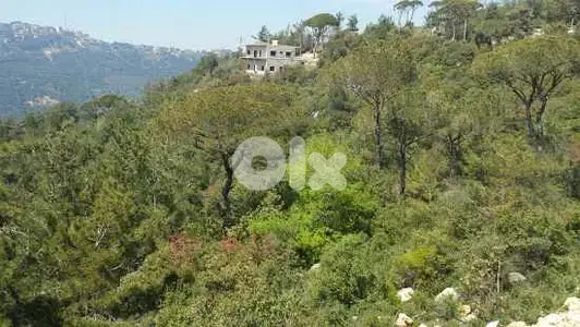 Land for Sale in Bolonia