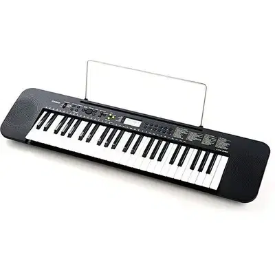 casio ctk240 keyboard piano