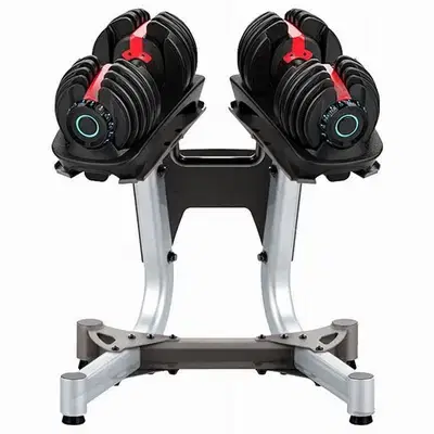 Adjustable dumbbells (with stand)