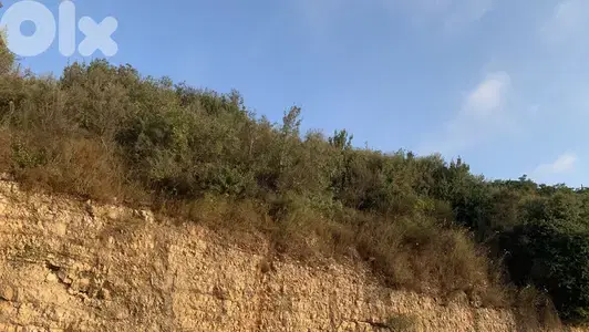 RWB164MT - Land for sale in Blat JBEIL ارض للبيع في بلاط جبيل