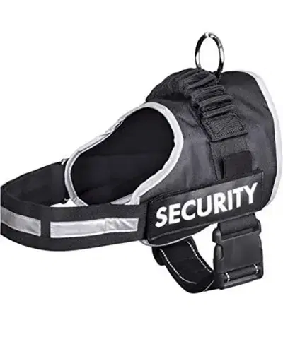 Zoofari Dog harness
