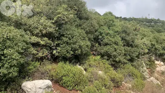 RWB192MT - Land for sale in Blat Jbeil