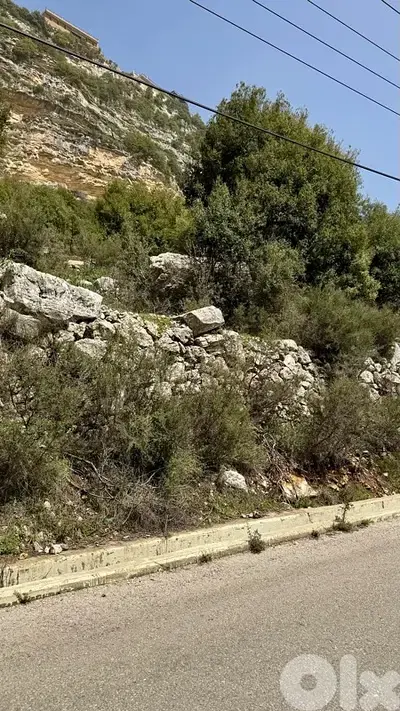 Land For Sale In Ehmej أرض للبيع في اهمج Land For Sale In Ehmej أرض للبيع في اهمج